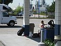 Mille5 005